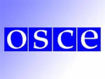 ПА ОБСЕ приняла Берлинскую декларацию, частью которой стала украинская резолюция о нарушении прав человека в Крыму