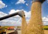 НАБУ запобігло розкраданню 340 тонн зерна на Сумщині