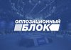 "Оппозиционный блок" обжаловал в ЕСПЧ нарушение прав своих кандидатов на местных выборах в Харьковской области
