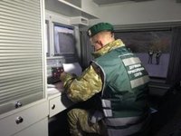 Поток на въезд на западной границе Украины рекордно с начала войны превышает поток на выезд - Госпогранслужба