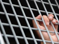Адвокат Полозов заявил о нечеловеческих условиях содержания задержанных в оккупированном Крыму