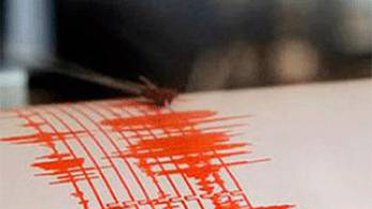 В Украине зафиксировали землетрясение магнитудой 4,3