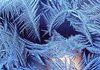У вихідні температура в Україні знизиться до 24° С морозу