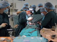 В клинике "Охматдит" за 11 мес. 2021г провели 50 трансплантаций костного мозга детям