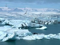 Природные условия в Арктике из-за глобального потепления продолжают ухудшаться