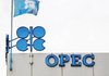 Решение ОПЕК+ увеличить добычу нефти отвечает планам ЕС по сокращению зависимости от РФ - глава ЕК