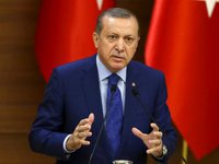 Турция работает над "зерновым коридором" из Украины посредством сбалансированной политики – Эрдоган на встрече с Байденом