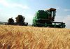 Green Deal может превратить ЕС в нетто-импортера пшеницы из-за высоких экологических требований к агропроизводству – Coceral