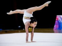 Чемпионаты Европы по бадминтону и художественной гимнастике в Киеве перенесены из-за коронавируса