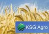 KSG Agro за 9 мес. сократил чистую прибыль на 52%