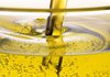 ViOil в 2,2 раза увеличила производство рапсового масла