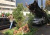 Пострадавших вследствие непогоды в Киеве нет, повалено более 200 деревьев, 5 опор ЛЭП