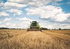 Украинскому агросектору требуется 80-90 млрд грн для проведения осенних полевых работ – глава ВАР