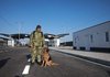 ФСБ РФ затримало молодшого сержанта Держприкордонслужби України на адмінкордоні з Кримом