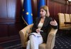 EU should ensure control over imports of round timber from Ukraine – Deputy PM Stefanishyna
