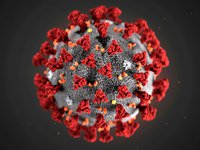 Новий штам коронавірусу дістався Італії та ФРН