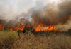 Оккупанты продолжали обстреливать Николаев и область, вызвав пожары на полях с урожаем – глава ОВА
