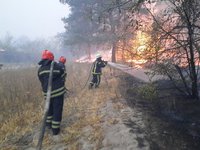 ГСЧС сообщает о чрезвычайной пожарной опасности в 5 областях Украины на выходных