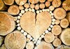 Єврокомісія пропонує заборонити імпорт пов'язаних із вирубуванням лісу товарів