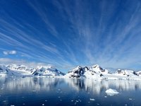 Антарктида перестала быть единственным континентом без коронавируса