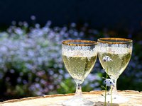 В Раде зарегистрированы два законопроекта о поддержке винной отрасли