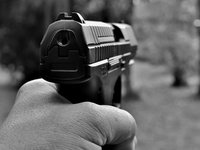 Рада поддержала законопроект, разрешающий оборот гражданского огнестрельного оружия, но не короткоствольного