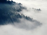 В Україні очікується прохолодна погода, місцями туман