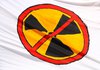 Превышение радиации в зоне ЧАЭС связано с движением большого количества военной техники – ГИЯРУ