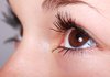 Институт Филатова за 10 лет применил метод фотодинамической терапии в лечении воспаления глаз более тысячи пациентов