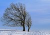 В Україні очікується вітряна погода, місцями мокрий сніг