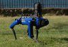 Поліція Нью-Йорка відмовилася від використання роботів-собак
