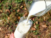 Milk producers ask president to fix gas tariff at UAH 32,000/1,000 cubic meters