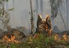Брюссель усиливает помощь странам ЕС, борющимся с сильными лесными пожарами
