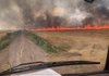 На Харьковщине из-за вражеских обстрелов сгорело 30 га пшеницы