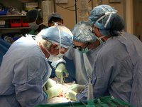 За 2021 рік в Україні проведено рекордну кількість трансплантацій – 306 операцій