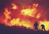 В Іспанії та Португалії готуються до аномальної спеки і до лісових пожеж