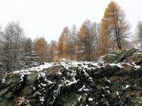 В Україні найближчої доби очікуються невеликі дощі, місцями з мокрим снігом