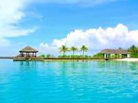 МАУ в конце декабря запустит чартеры на курорты Доминиканы, Мексики и Мальдив