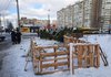 У Києві демонтували близько 30 незаконних ялинкових базарів