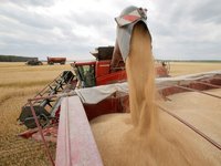 Forecast of grain and oilseeds harvest in Ukraine improved from 60 mln to 65-67 mln tonnes – PM