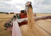 Forecast of grain and oilseeds harvest in Ukraine improved from 60 mln to 65-67 mln tonnes – PM
