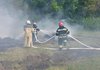 Загальна площа пожеж у лісах України з початку року зросла майже у 100 разів - голова Держлісагентства
