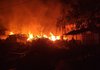 На Харківщині внаслідок ворожих обстрілів сталися масштабні пожежі в екосистемах, вогнем знищено близько 30 га - ДСНС