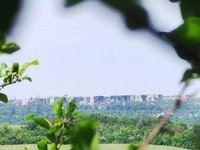 Майже 100 млрд грн складає сума завданих екосистемі України збитків у результаті лісових пожеж на Луганщині