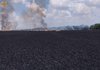 Рада планує посилити відповідальність за спалювання рослин у період надзвичайного чи воєнного стану в Україні