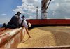 Турция стала лидером по импорту зерна из украинских морпортов – СМИ